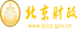 大屌网站北京市财政局